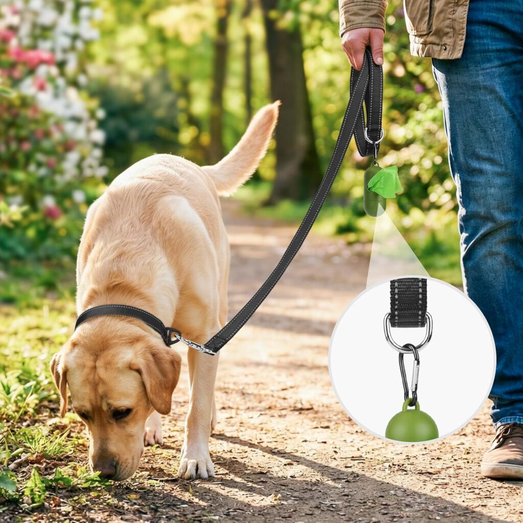 Joytale Reflective Dog Leash for Medium & Large Dogs, 6 FT x 1″, Black