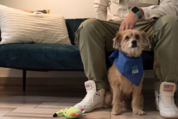 Unique and Affordable Pet Gear You Won’t Want to Miss
